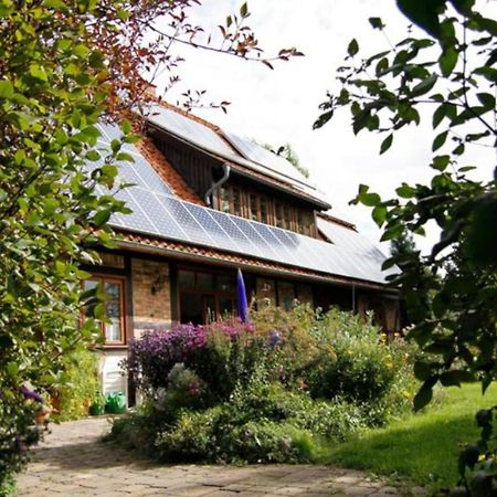 Ferienwohnung Marienau Coppenbrügge Dış mekan fotoğraf